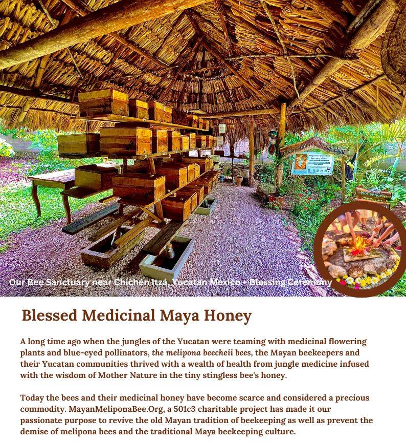 MMB Honey Medicinal Info