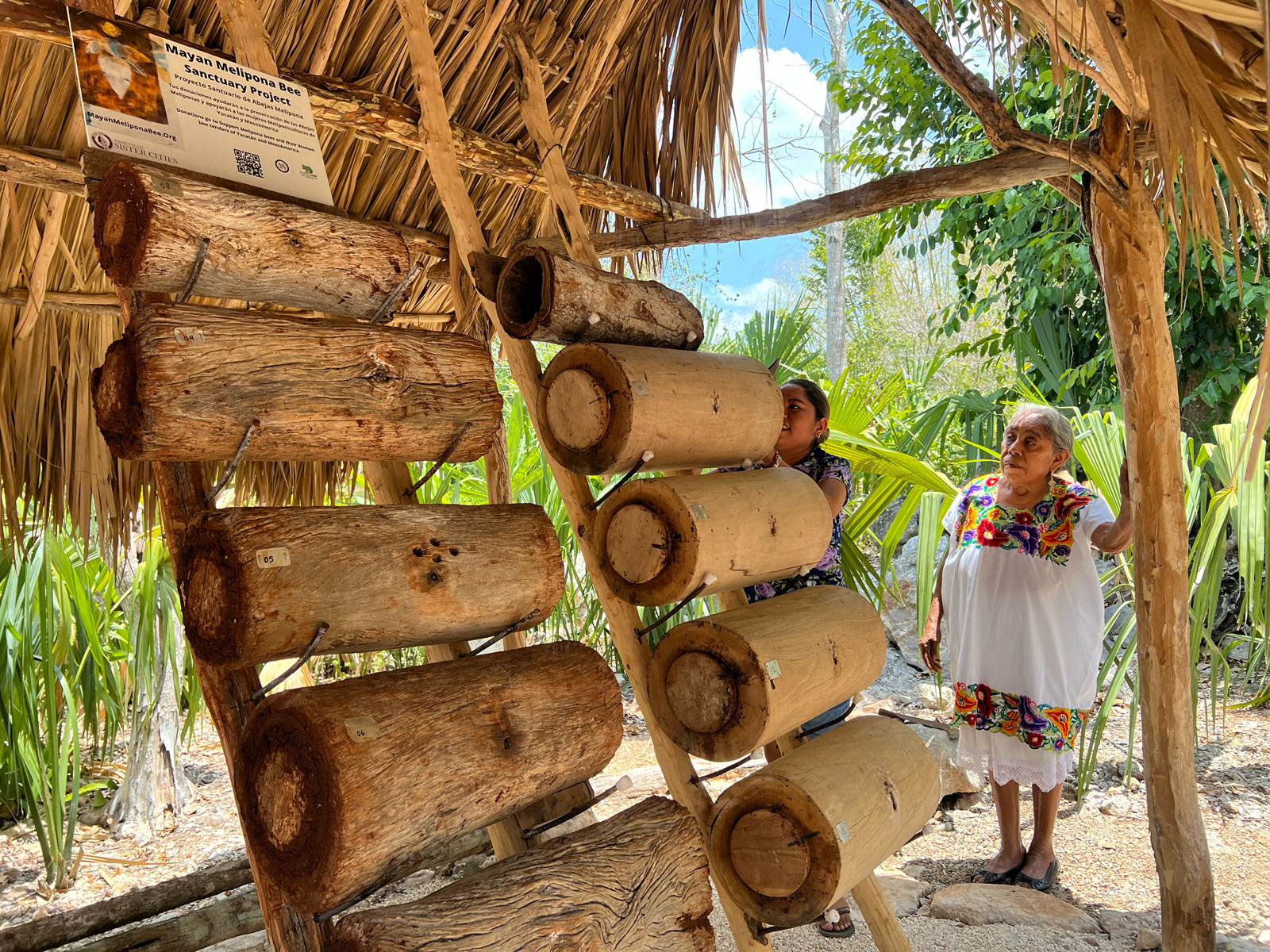 Log-Hives---Selsa--