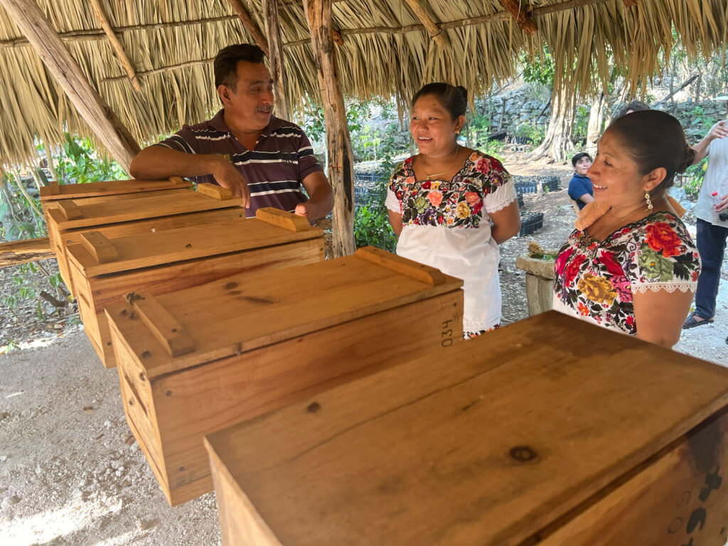Meliponario-Xocén-