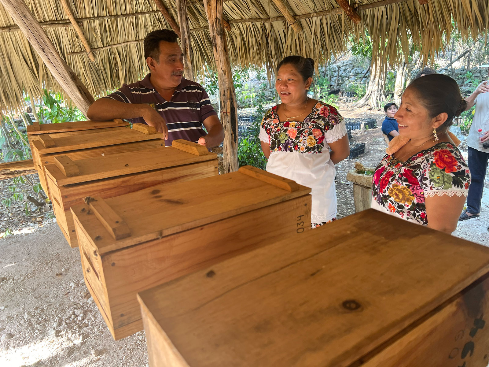 Meliponario-Xocén-