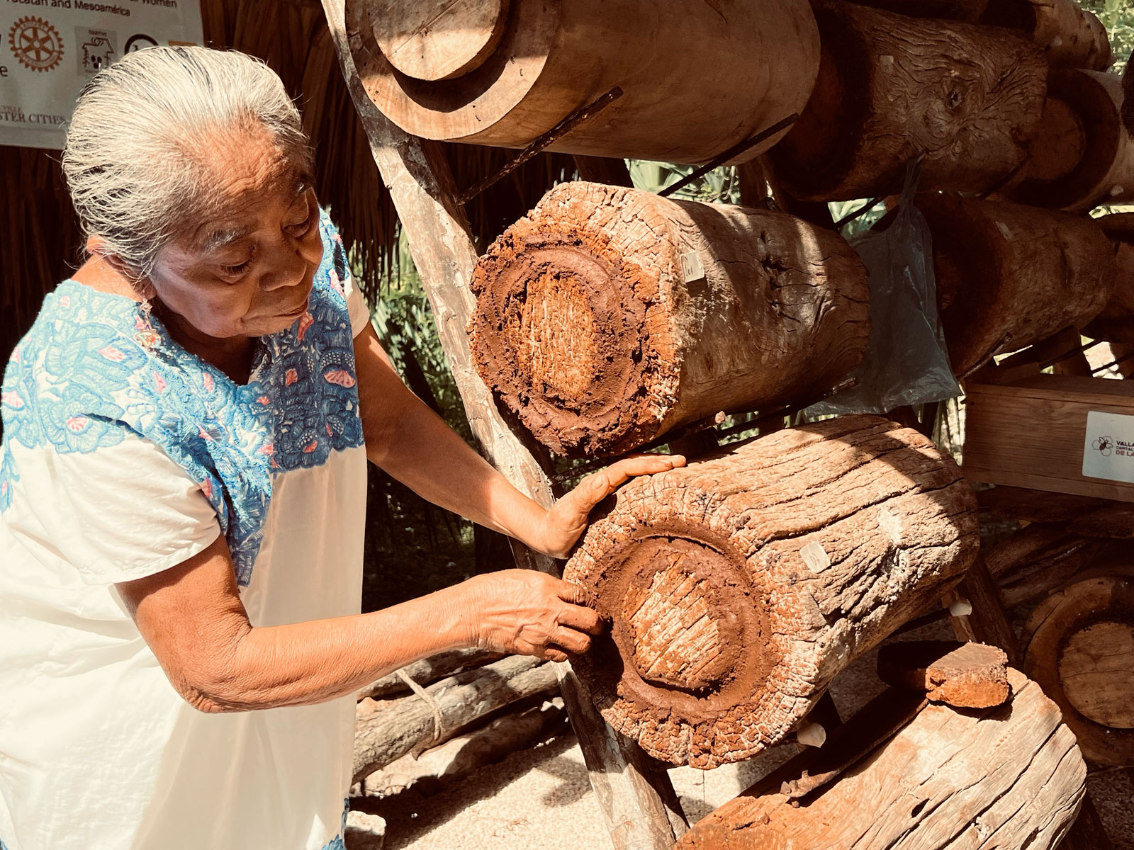Selsa-w-Log-hives