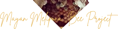 Mayan Melipona Bee Project