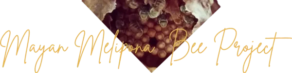 Mayan Melipona Bee Project